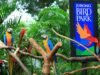 Wildlife, Culture & Sunset Experience