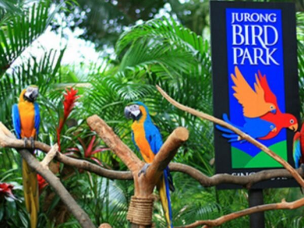 Wildlife, Culture & Sunset Experience