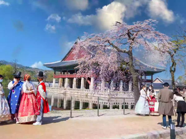 KOREA WINTER ESCAPE — Snow, Culture & City Lights